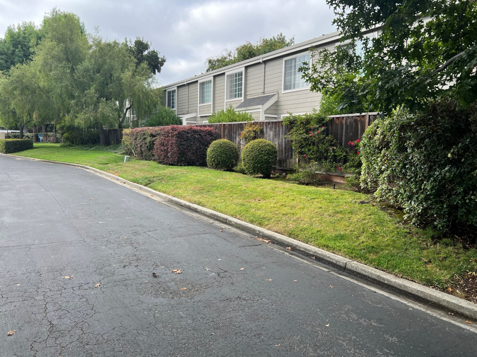 hoa-lawn-before-native-landscaping