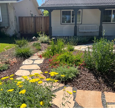 9 Drought‑Tolerant Landscaping Ideas: California Home Edition [2025] 11