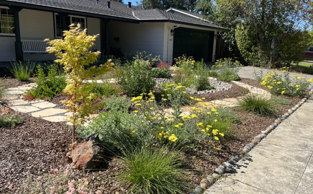 9 Drought‑Tolerant Landscaping Ideas: California Home Edition [2025] 10