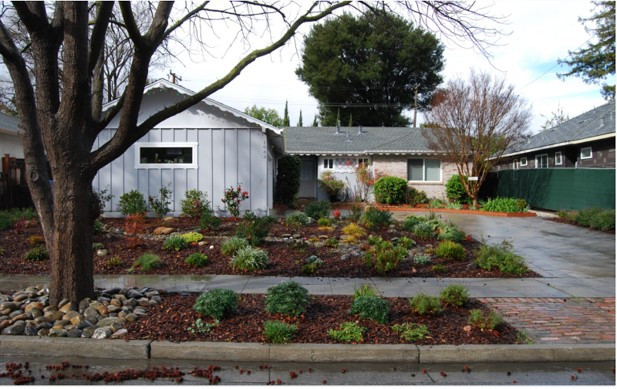 9 Drought‑Tolerant Landscaping Ideas: California Home Edition [2025] 4