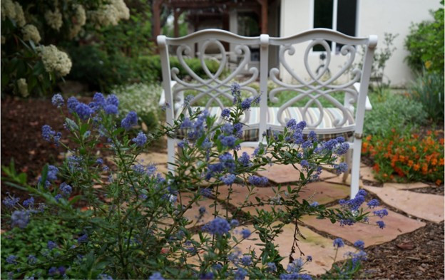 9 Drought‑Tolerant Landscaping Ideas: California Home Edition [2025] 14