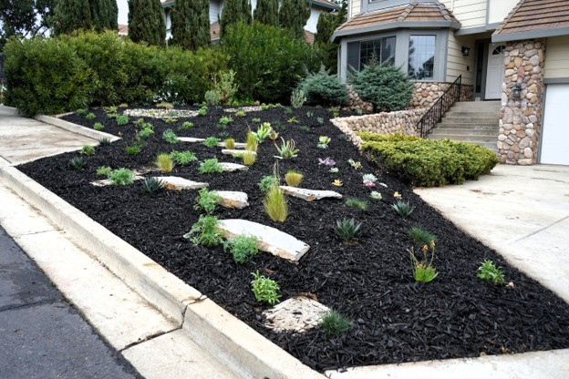 9 Drought‑Tolerant Landscaping Ideas: California Home Edition [2025] 1