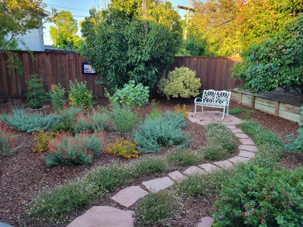 9 Drought‑Tolerant Landscaping Ideas: California Home Edition [2025] 13